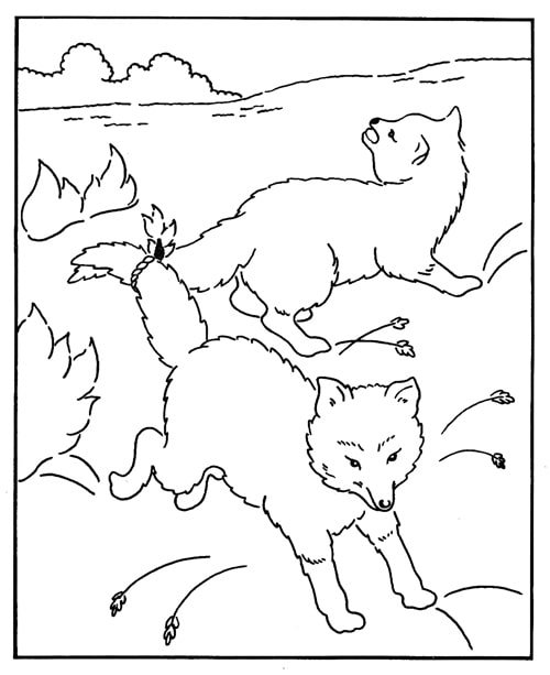 Bo'yash uchun rasm. chizish 18